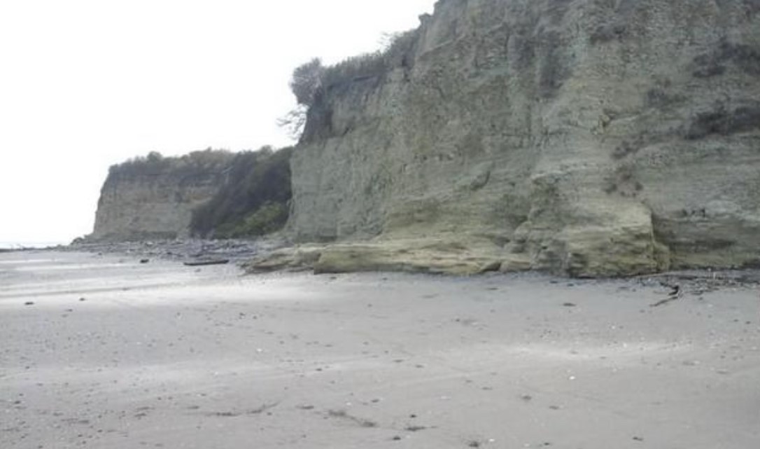 TBD E15 Lagarto - Vainilla, Other, OS, TBD | 33347128 | Realty Texas LLC