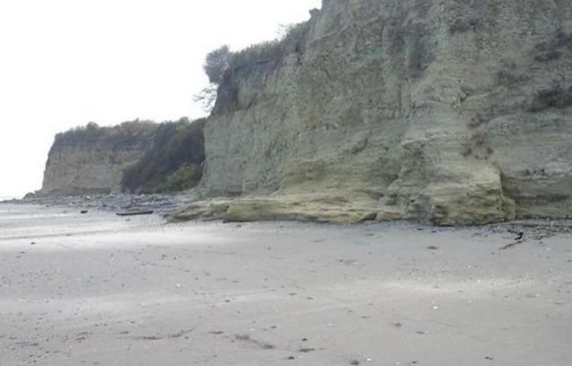 TBD E15 Lagarto - Vainilla, Other, OS, TBD | 33347128 | Realty Texas LLC