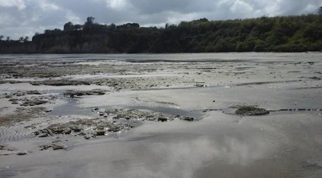 TBD E15 Lagarto - Vainilla, Other, OS, TBD | 33347128 | Realty Texas LLC