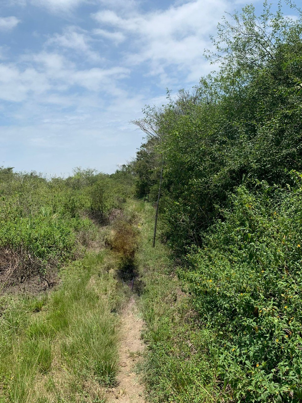 TBD E15 Lagarto - Vainilla, Other, OS, TBD | 33347128 | Realty Texas LLC