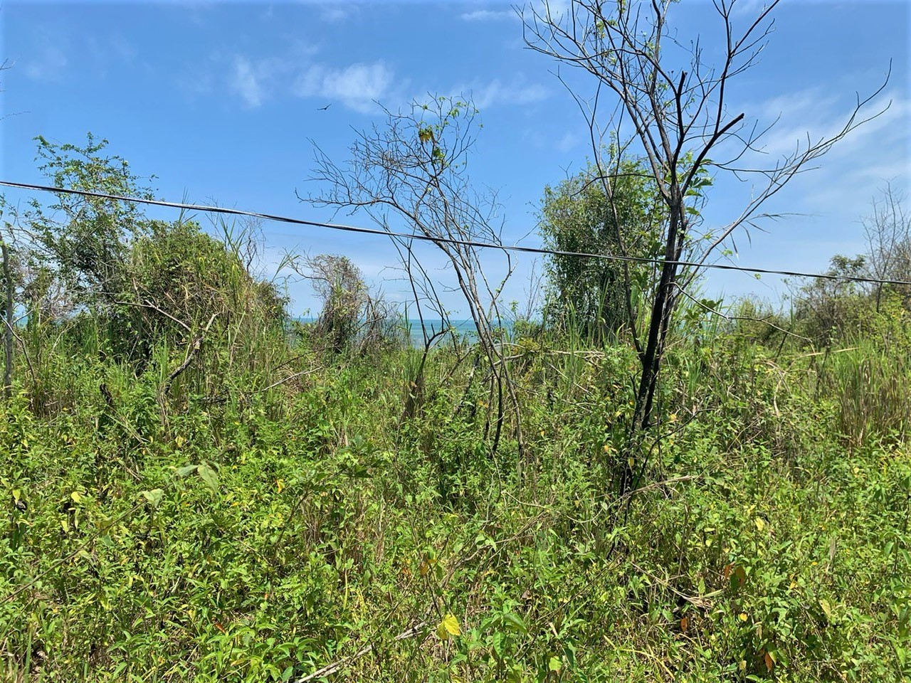 TBD E15 Lagarto - Vainilla, Other, OS, TBD | 33347128 | Realty Texas LLC