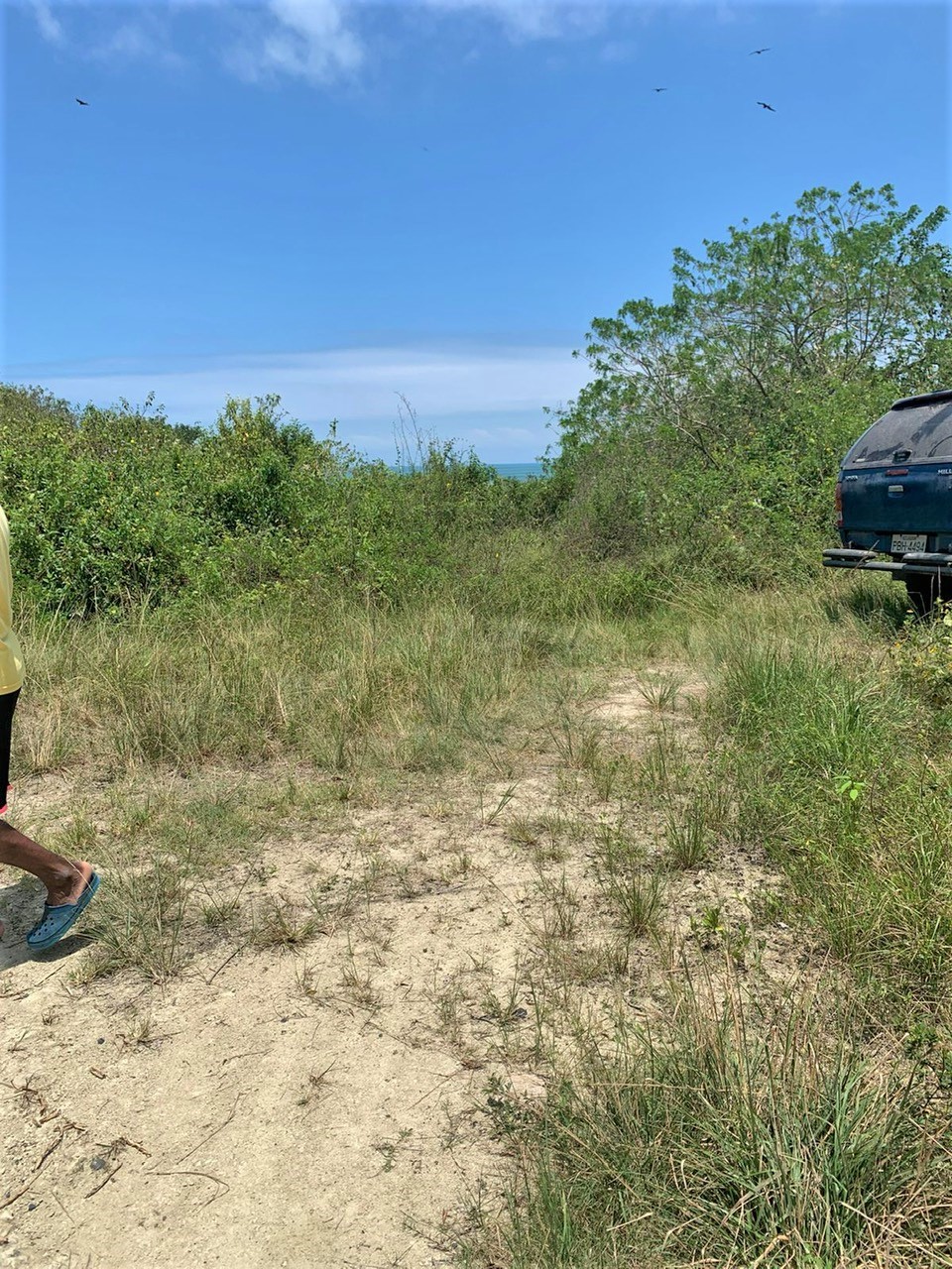 TBD E15 Lagarto - Vainilla, Other, OS, TBD | 33347128 | Realty Texas LLC