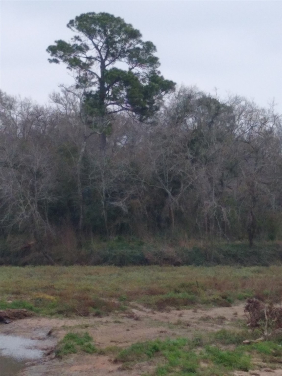 0 Fm 2351 Road, Friendswood, TX, 77546 | 69471132 | Realty Texas LLC