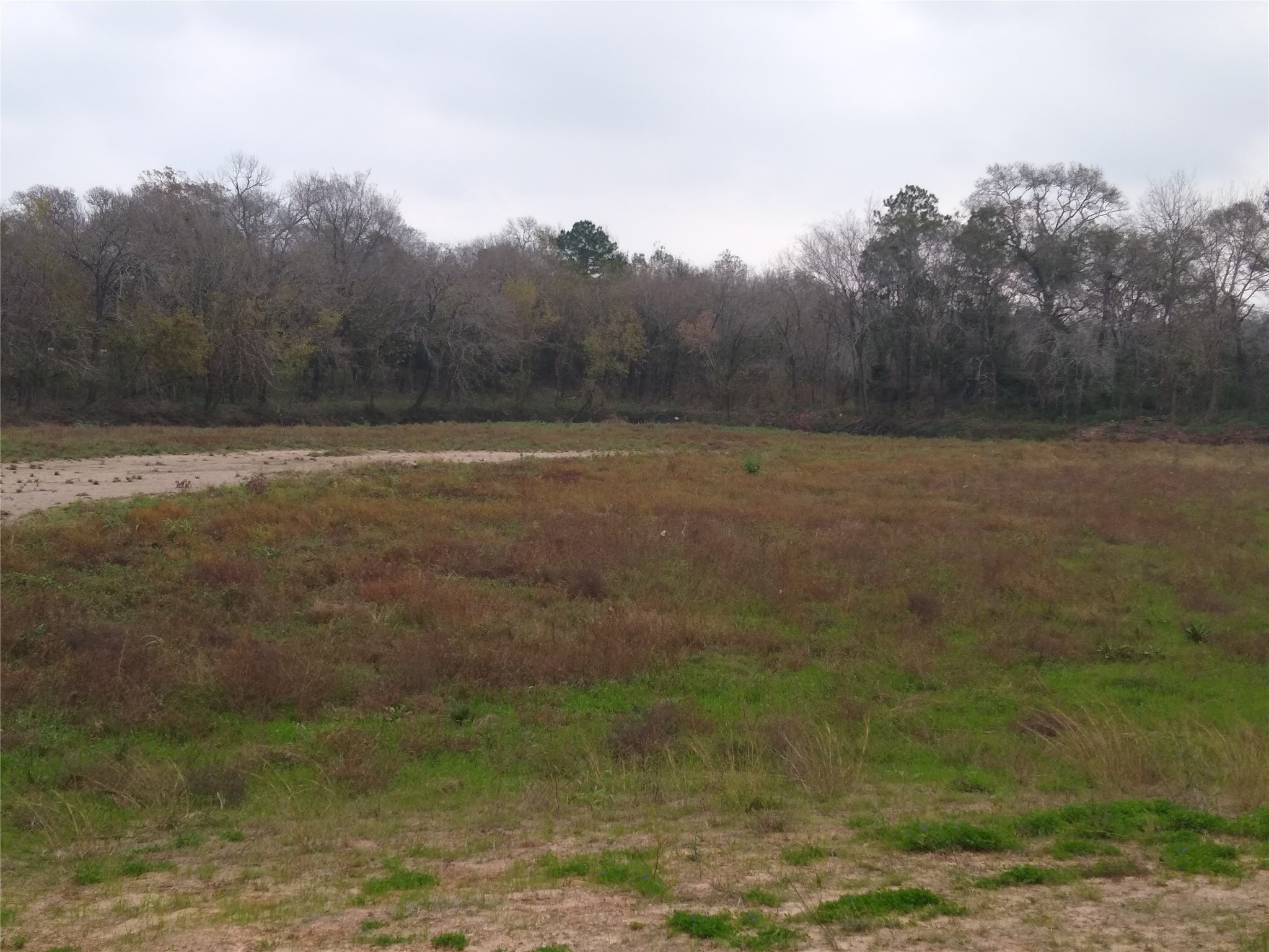 0 Fm 2351 Road, Friendswood, TX, 77546 | 69471132 | Realty Texas LLC