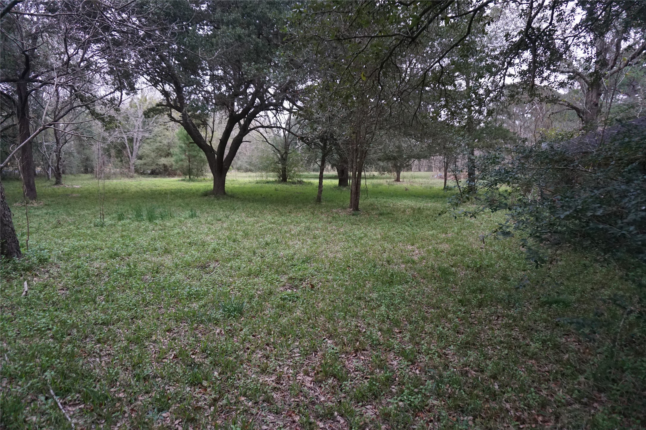 303 Christensen Rd,Hankamer, TX 77560