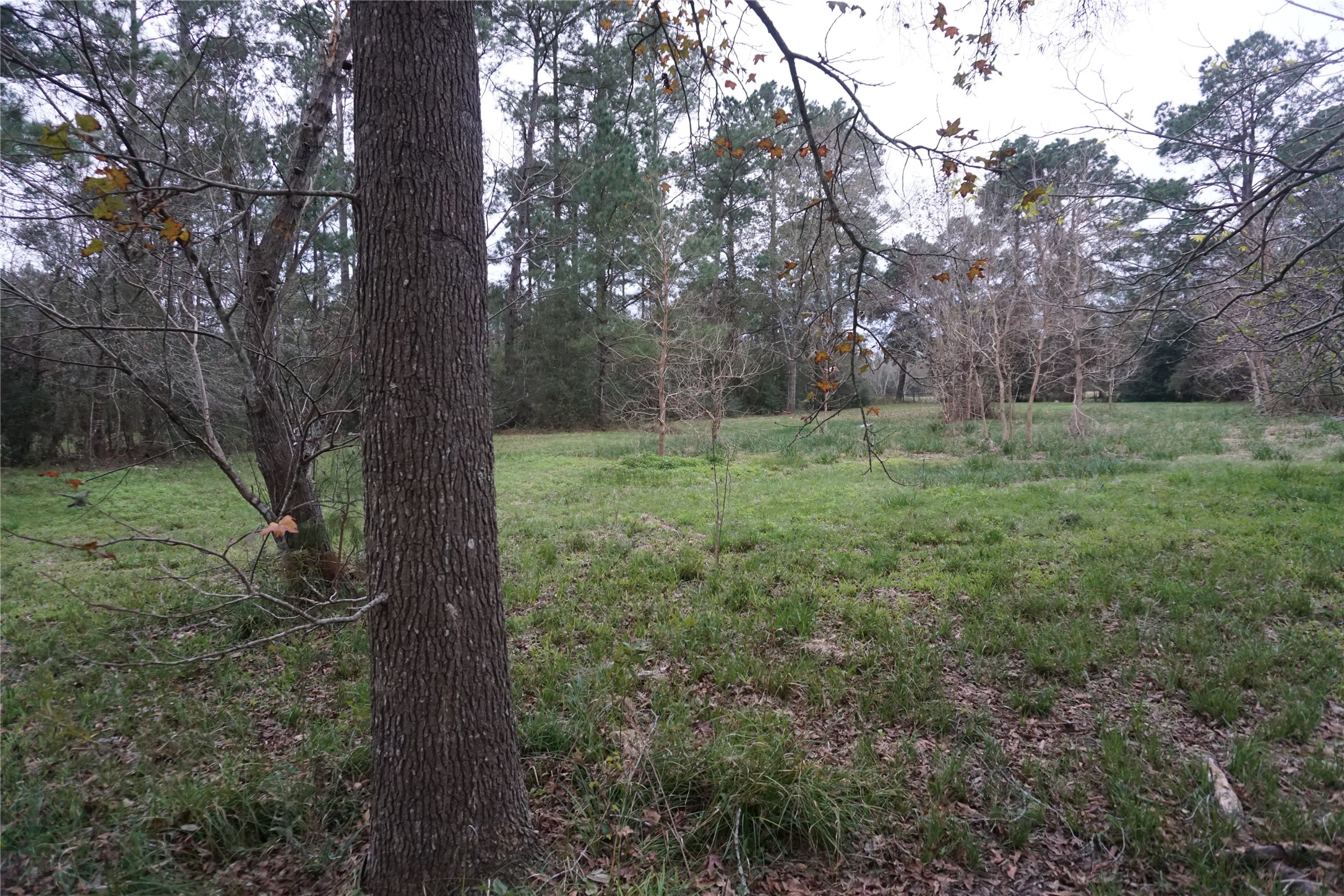 303 Christensen Rd,Hankamer, TX 77560