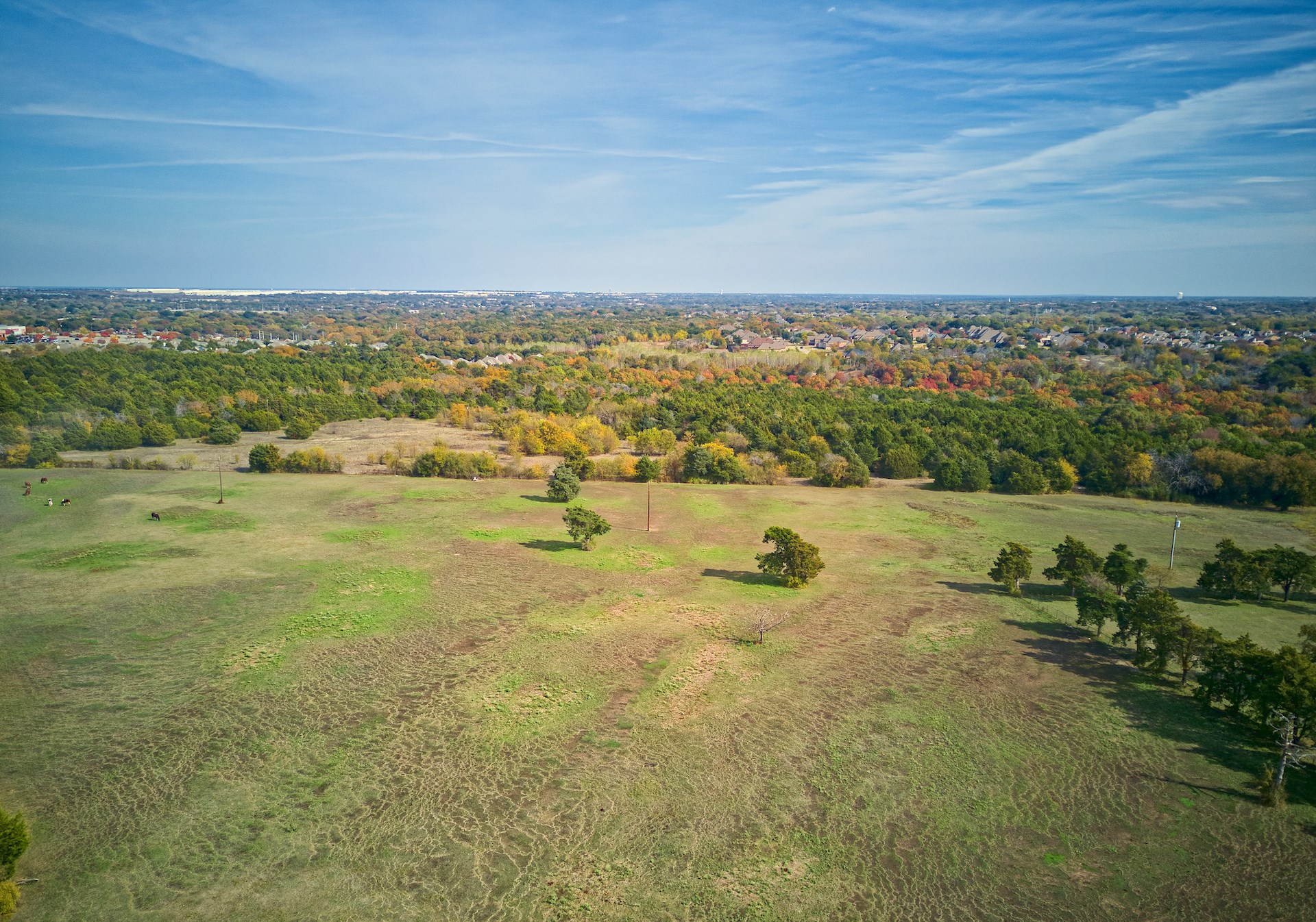 1318 N J Elmer Weaver Freeway , Cedar Hill, TX, 75104 | 14221572 | Realty Texas LLC