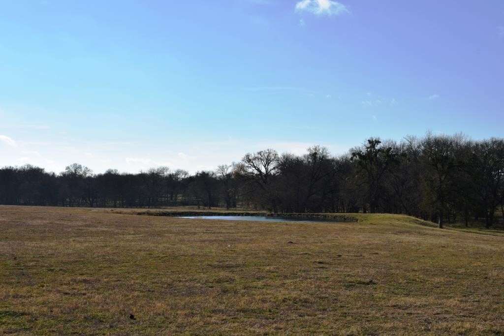 TBD S State Highway 121, Bonham, TX, 75418 | 14730025 | Realty Texas LLC