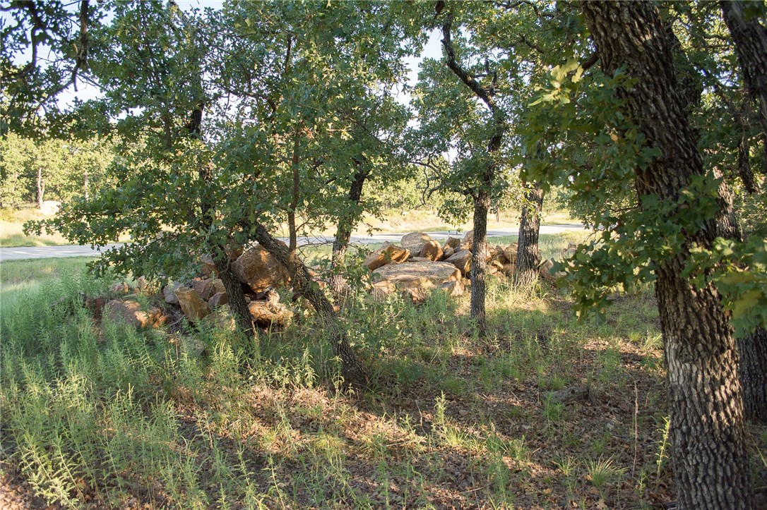 1020 Post Oak Road , Gordon, TX, 76453 | 13530255 | Realty Texas LLC
