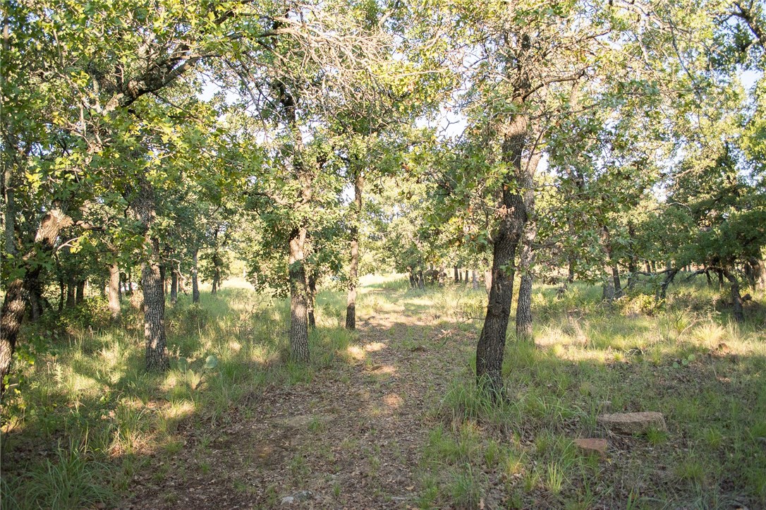 1020 Post Oak Road , Gordon, TX, 76453 | 13530255 | Realty Texas LLC