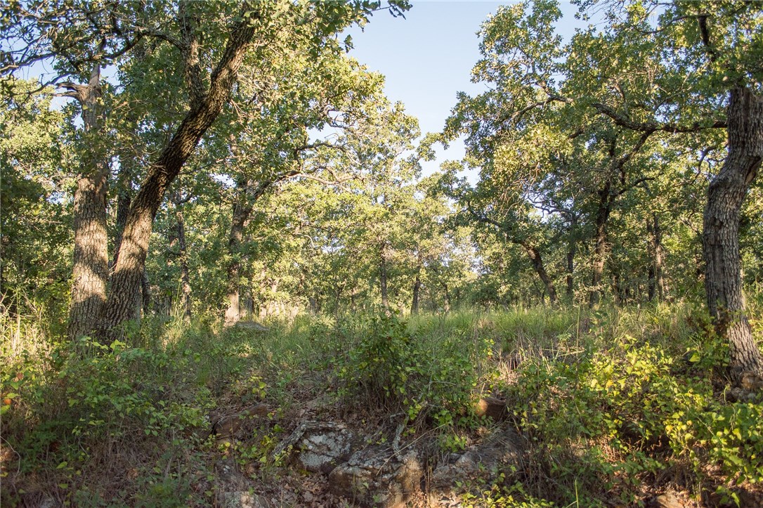 1020 Post Oak Road , Gordon, TX, 76453 | 13530255 | Realty Texas LLC