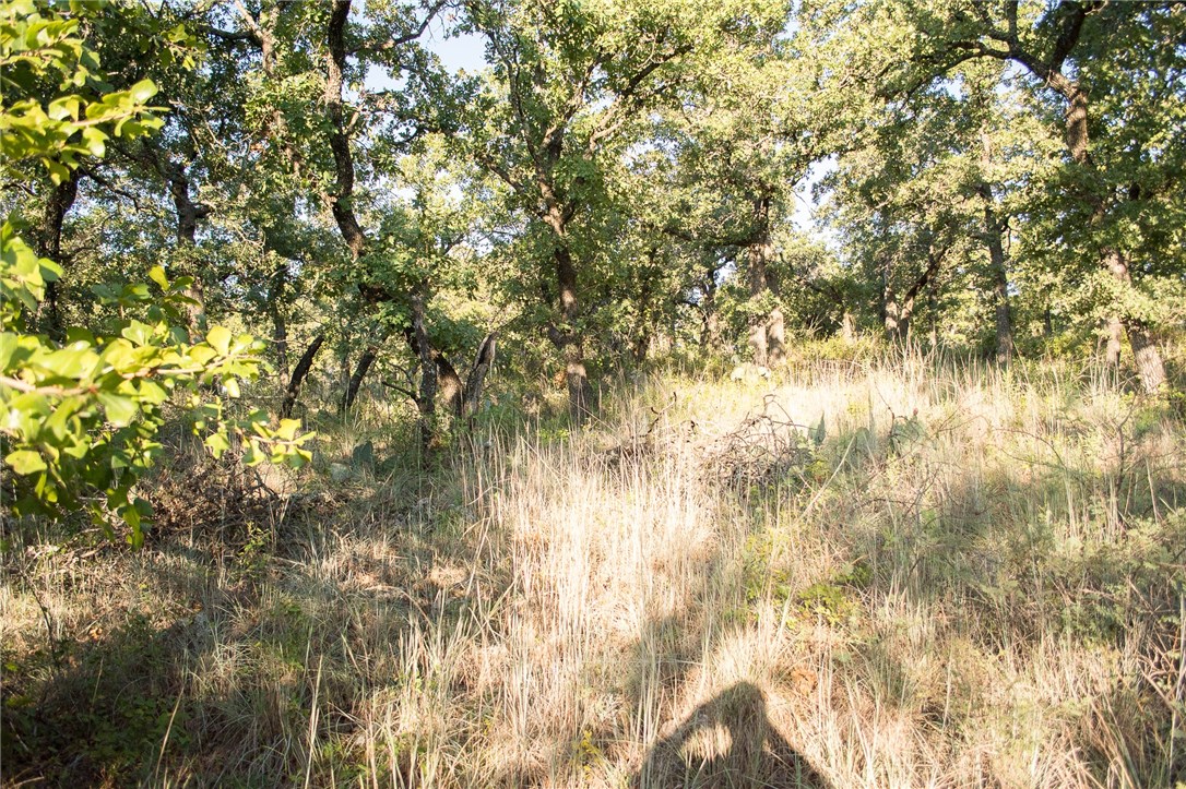1020 Post Oak Road , Gordon, TX, 76453 | 13530255 | Realty Texas LLC