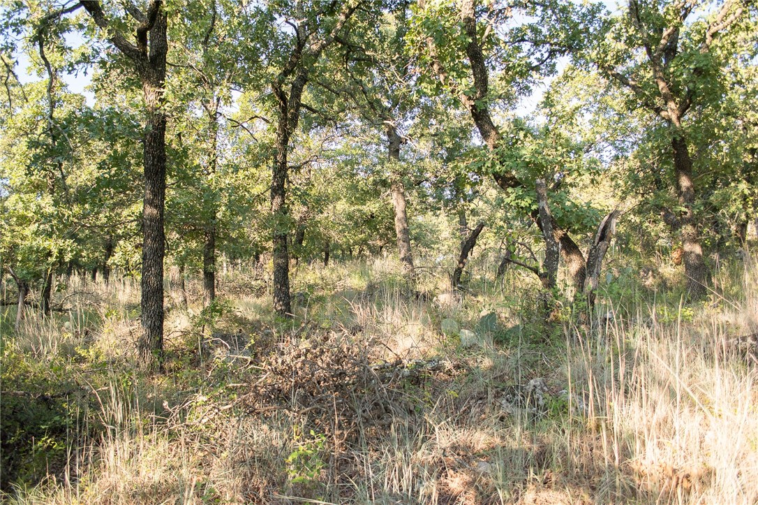 1020 Post Oak Road , Gordon, TX, 76453 | 13530255 | Realty Texas LLC
