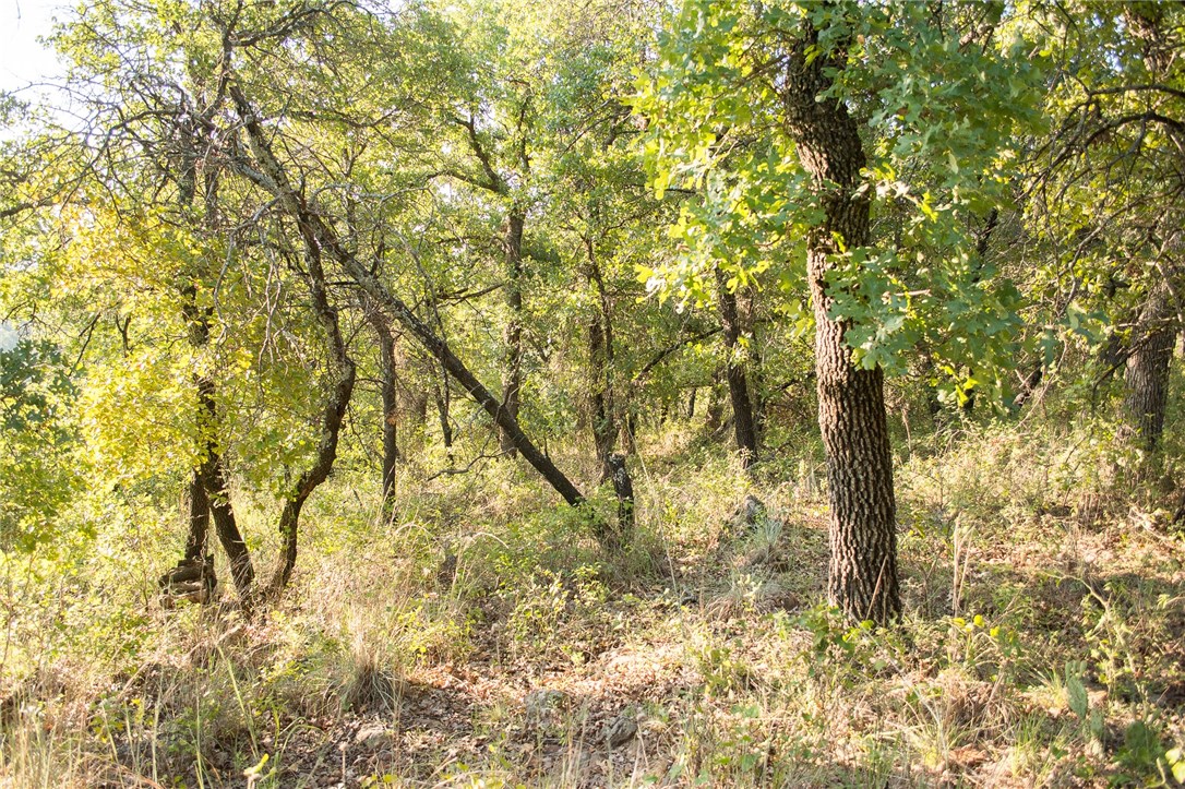 1020 Post Oak Road , Gordon, TX, 76453 | 13530255 | Realty Texas LLC