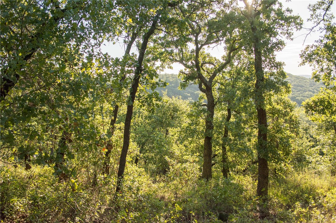 1020 Post Oak Road , Gordon, TX, 76453 | 13530255 | Realty Texas LLC