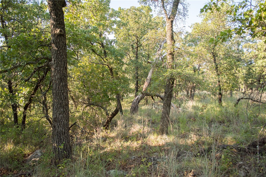 1020 Post Oak Road , Gordon, TX, 76453 | 13530255 | Realty Texas LLC