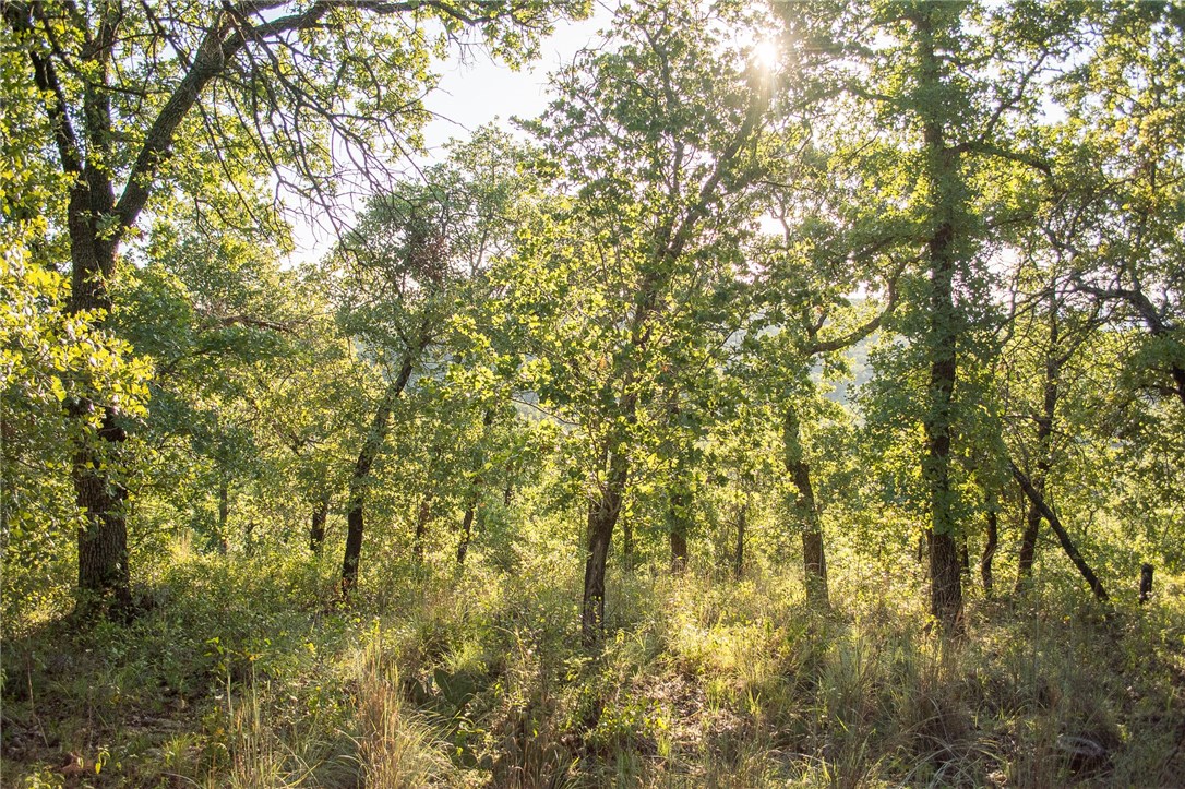 1020 Post Oak Road , Gordon, TX, 76453 | 13530255 | Realty Texas LLC