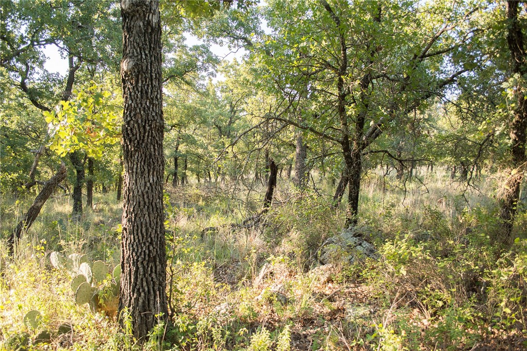 1020 Post Oak Road , Gordon, TX, 76453 | 13530255 | Realty Texas LLC