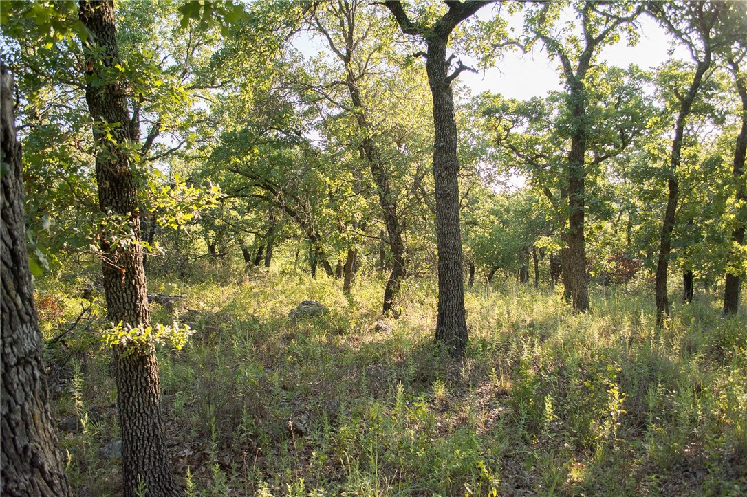1020 Post Oak Road , Gordon, TX, 76453 | 13530255 | Realty Texas LLC