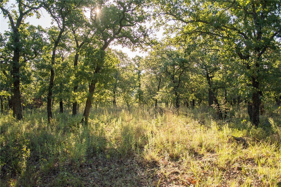 1020 Post Oak Road , Gordon, TX, 76453 | 13530255 | Realty Texas LLC