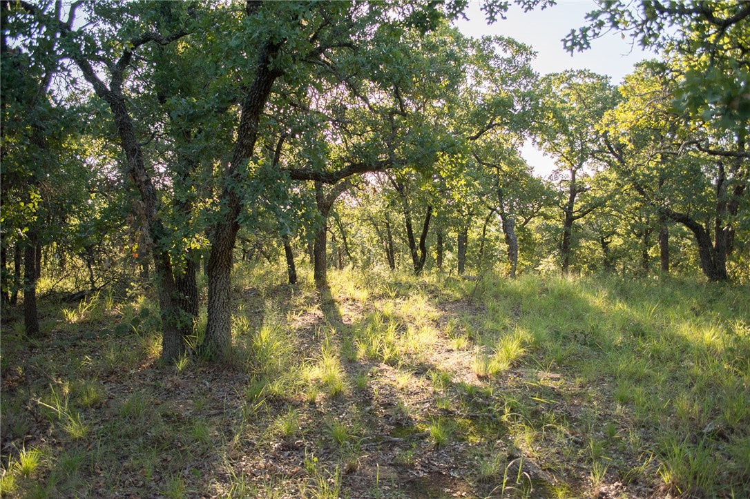 1020 Post Oak Road , Gordon, TX, 76453 | 13530255 | Realty Texas LLC