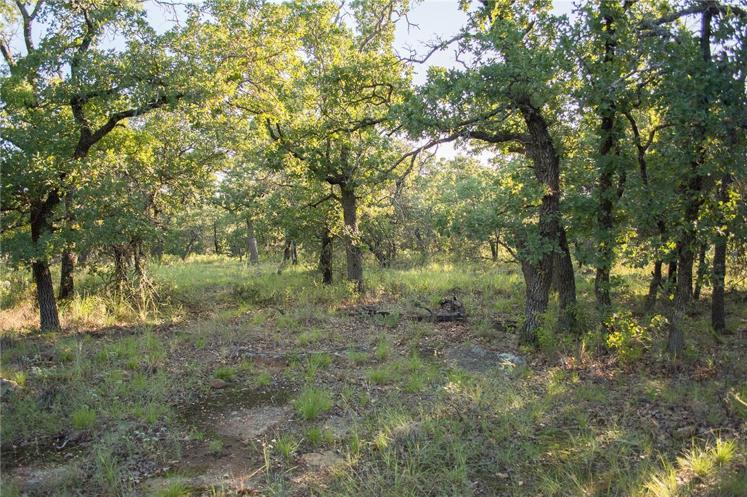 1020 Post Oak Road , Gordon, TX, 76453 | 13530255 | Realty Texas LLC