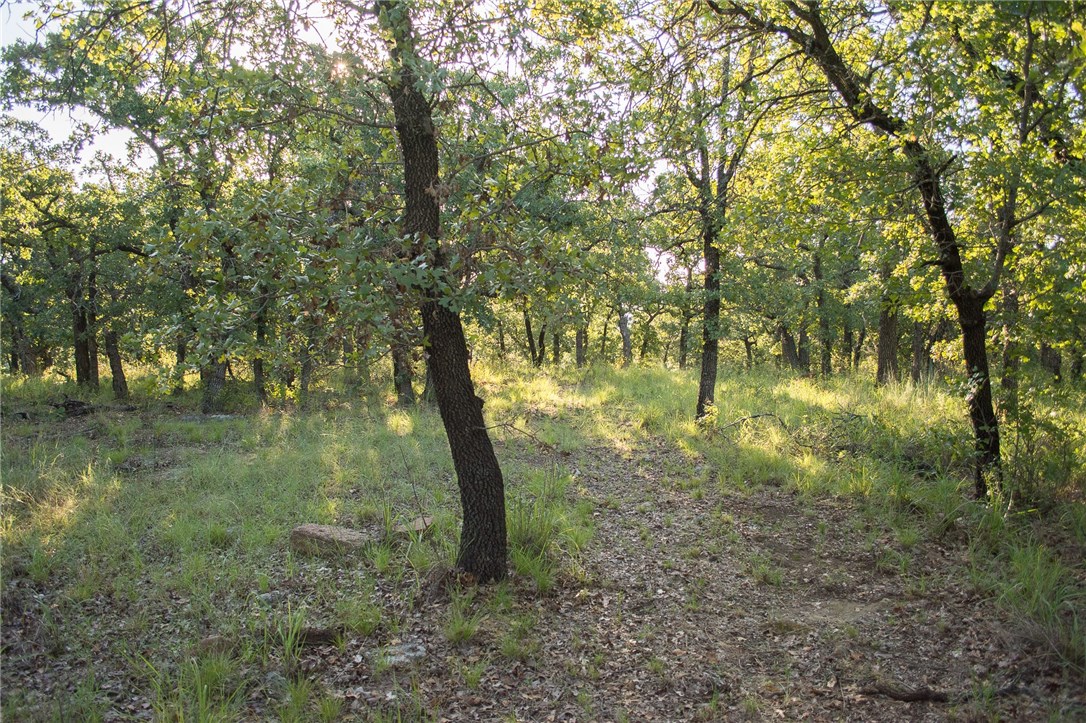 1020 Post Oak Road , Gordon, TX, 76453 | 13530255 | Realty Texas LLC