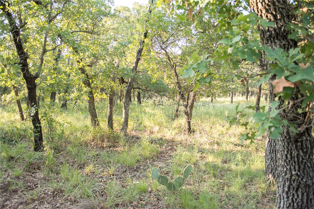 1020 Post Oak Road , Gordon, TX, 76453 | 13530255 | Realty Texas LLC