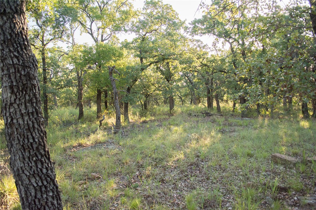 1020 Post Oak Road , Gordon, TX, 76453 | 13530255 | Realty Texas LLC