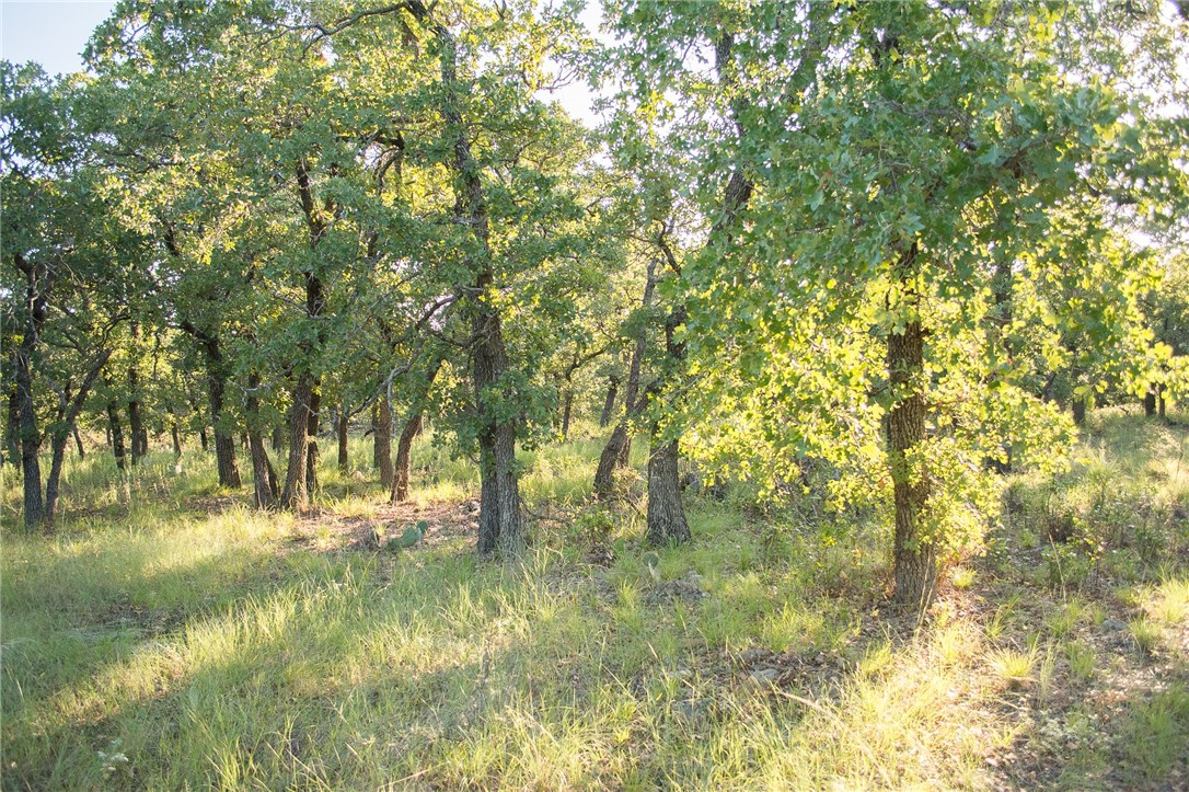 1020 Post Oak Road , Gordon, TX, 76453 | 13530255 | Realty Texas LLC