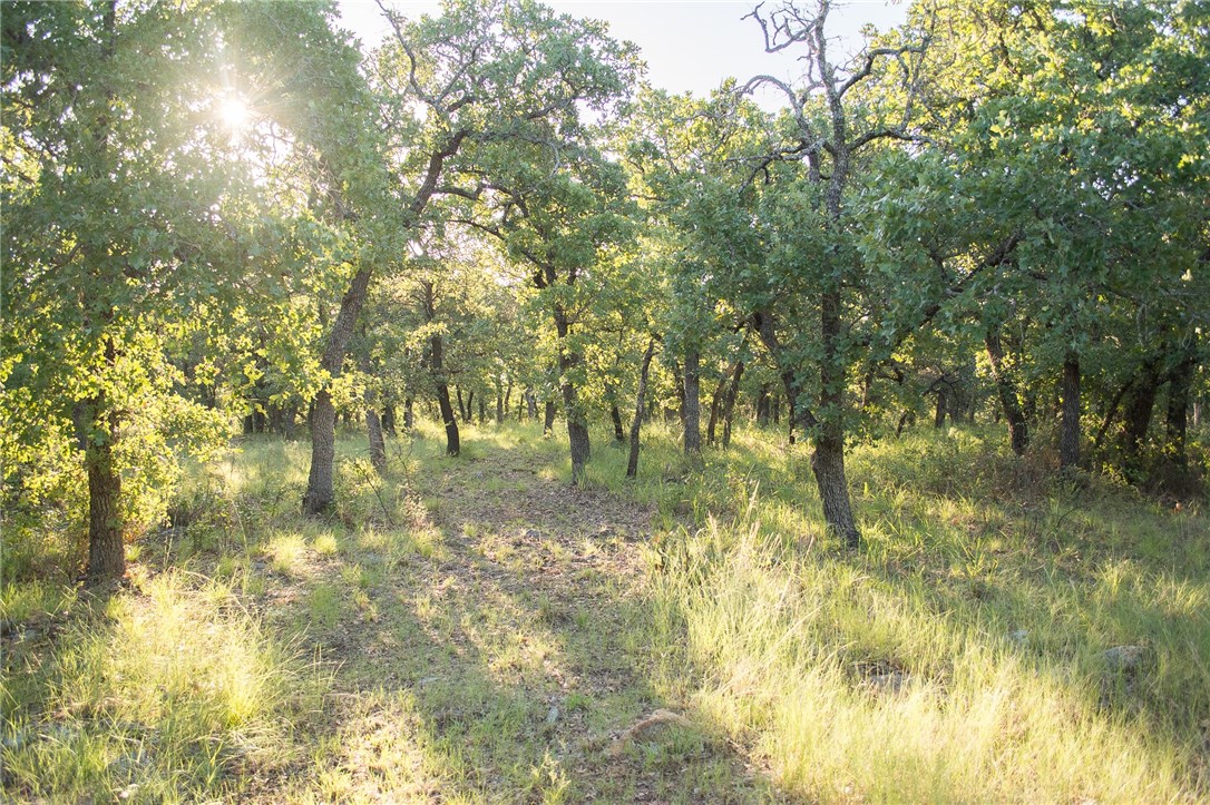 1020 Post Oak Road , Gordon, TX, 76453 | 13530255 | Realty Texas LLC