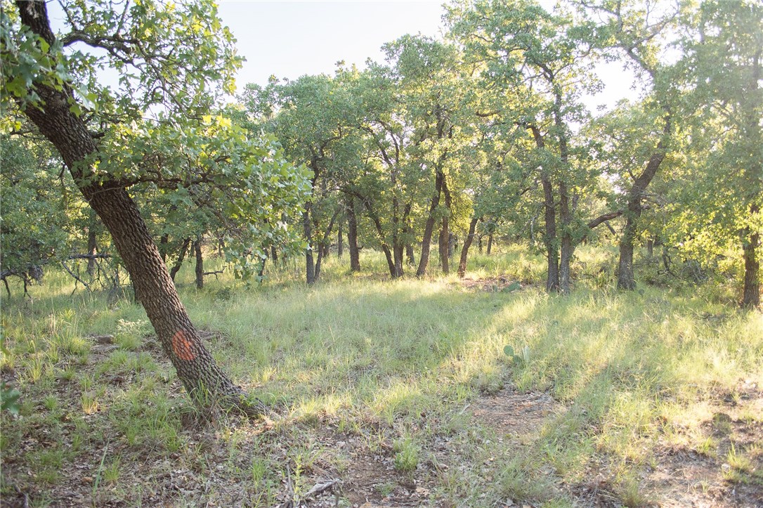 1020 Post Oak Road , Gordon, TX, 76453 | 13530255 | Realty Texas LLC