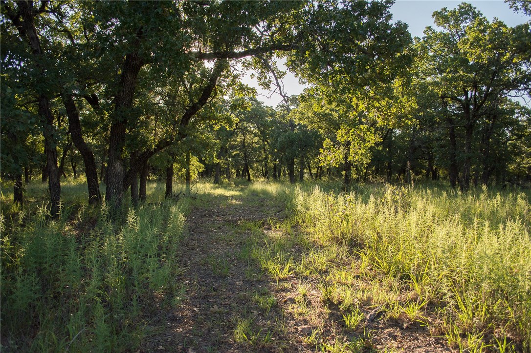 1020 Post Oak Road , Gordon, TX, 76453 | 13530255 | Realty Texas LLC