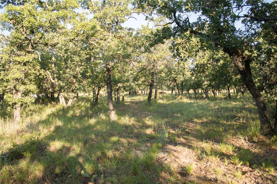 1020 Post Oak Road , Gordon, TX, 76453 | 13530255 | Realty Texas LLC