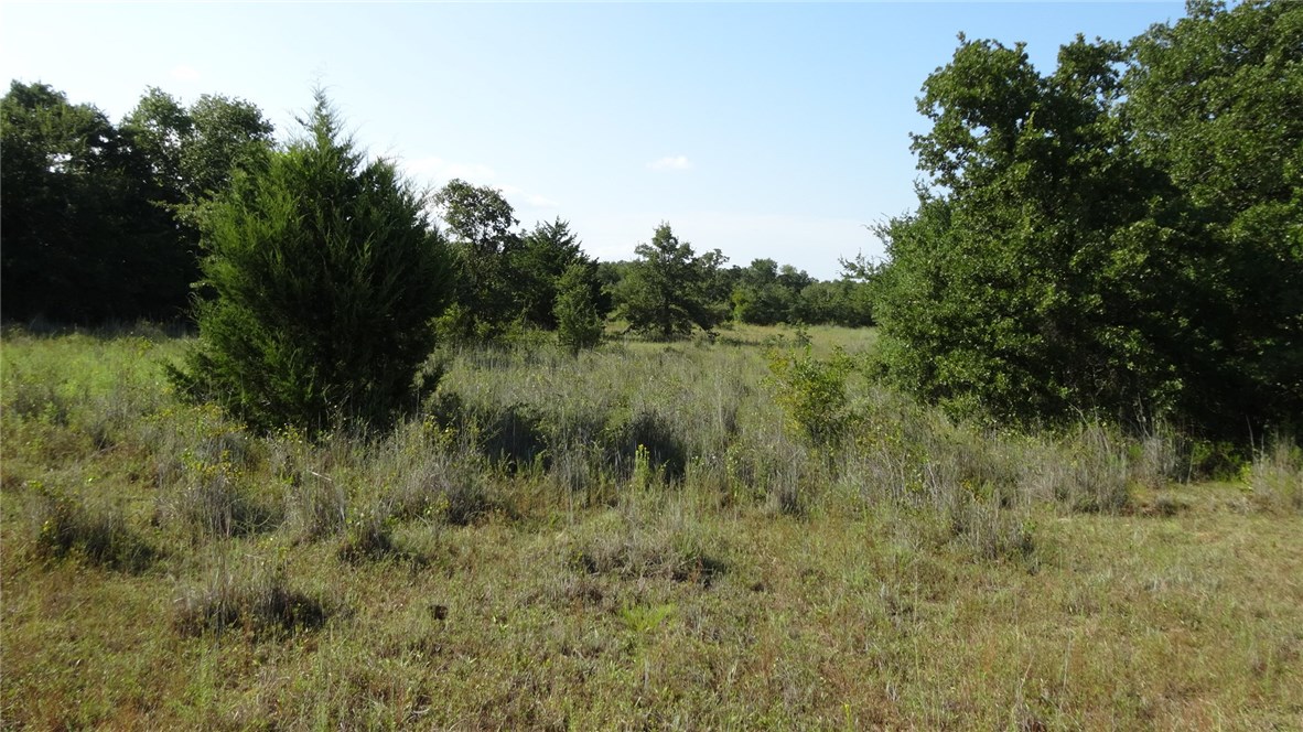 TBD Hwy 114, Boyd, TX, 76023 | 14174833 | Realty Texas LLC