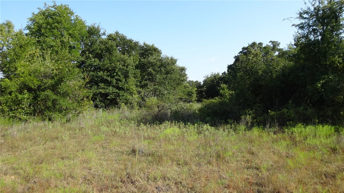 TBD Hwy 114, Boyd, TX, 76023 | 14174833 | Realty Texas LLC