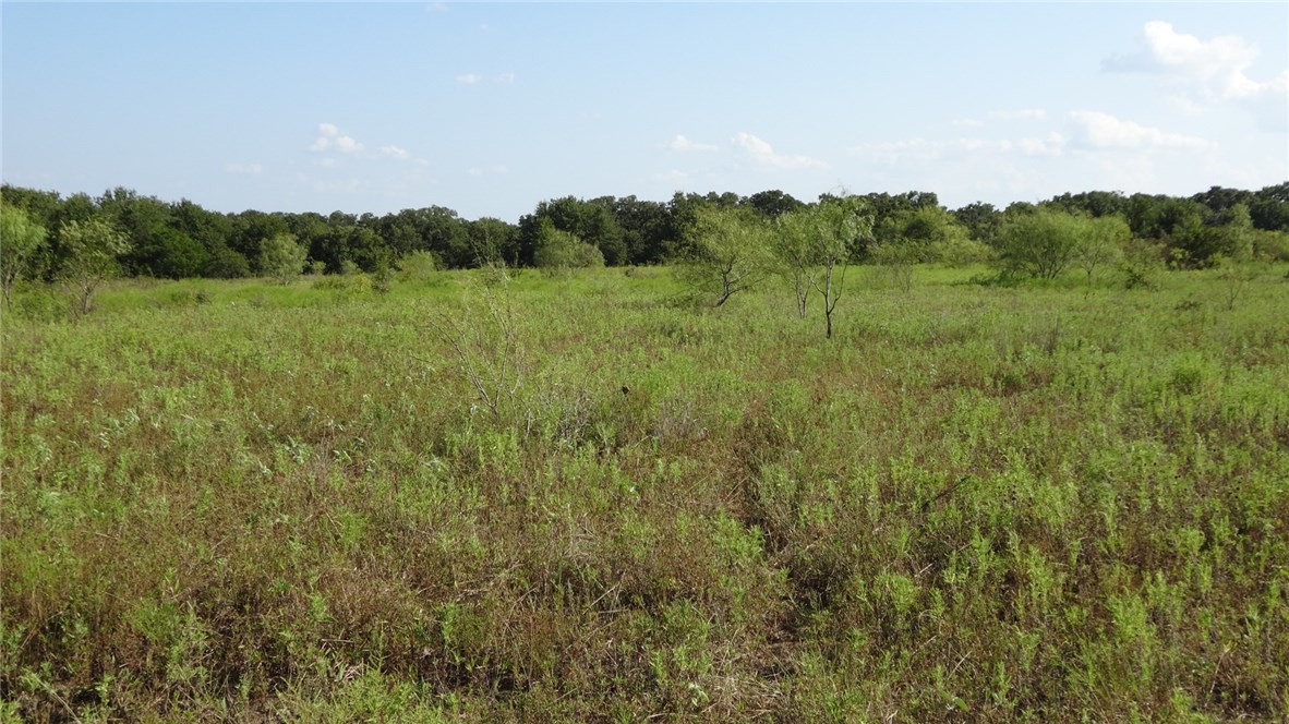 TBD Hwy 114, Boyd, TX, 76023 | 14174833 | Realty Texas LLC