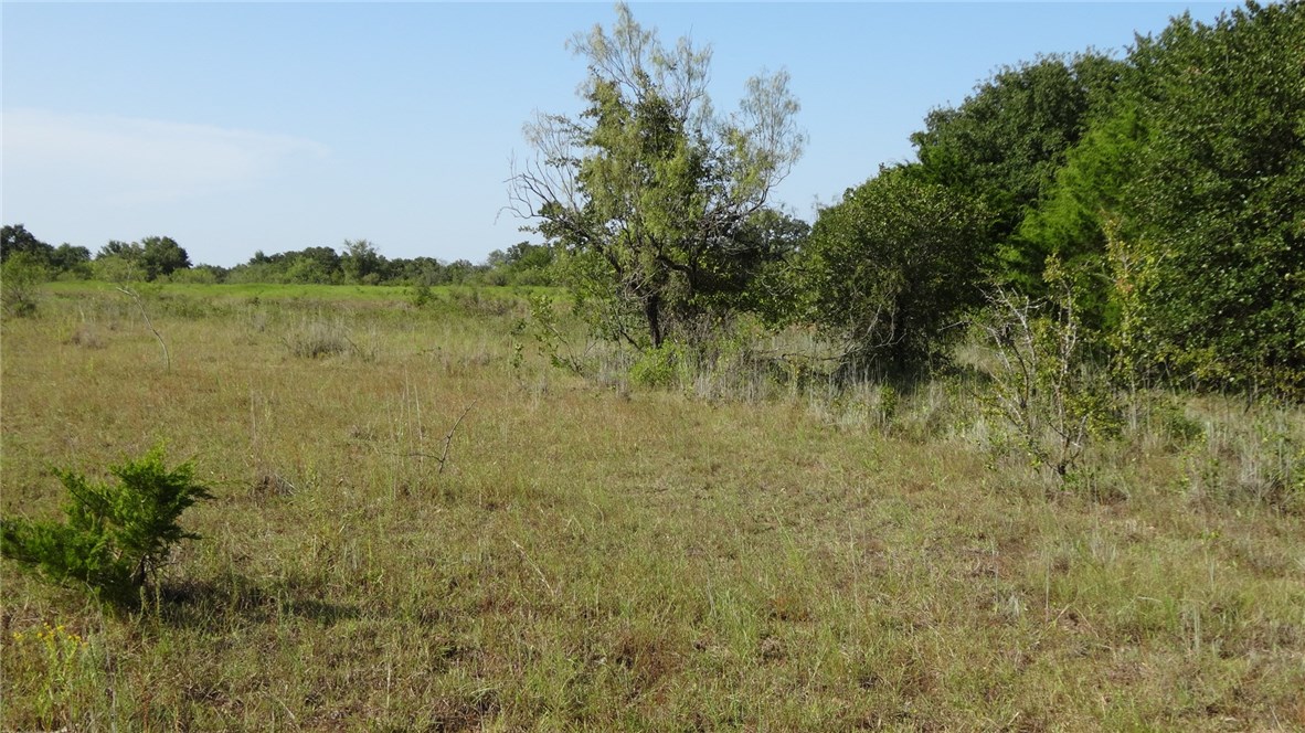 TBD Hwy 114, Boyd, TX, 76023 | 14174833 | Realty Texas LLC