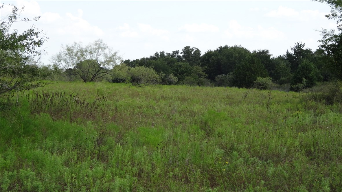 TBD Hwy 114, Boyd, TX, 76023 | 14174833 | Realty Texas LLC