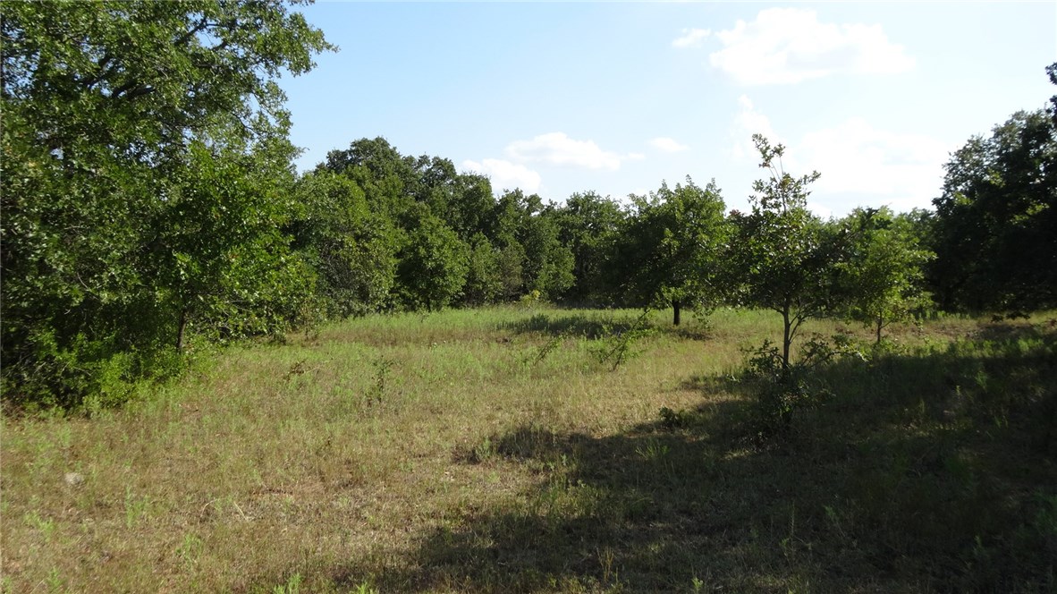 TBD Hwy 114, Boyd, TX, 76023 | 14174833 | Realty Texas LLC