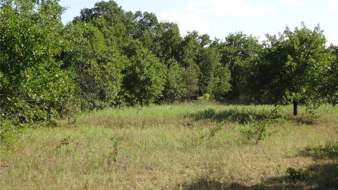 TBD Hwy 114, Boyd, TX, 76023 | 14174833 | Realty Texas LLC