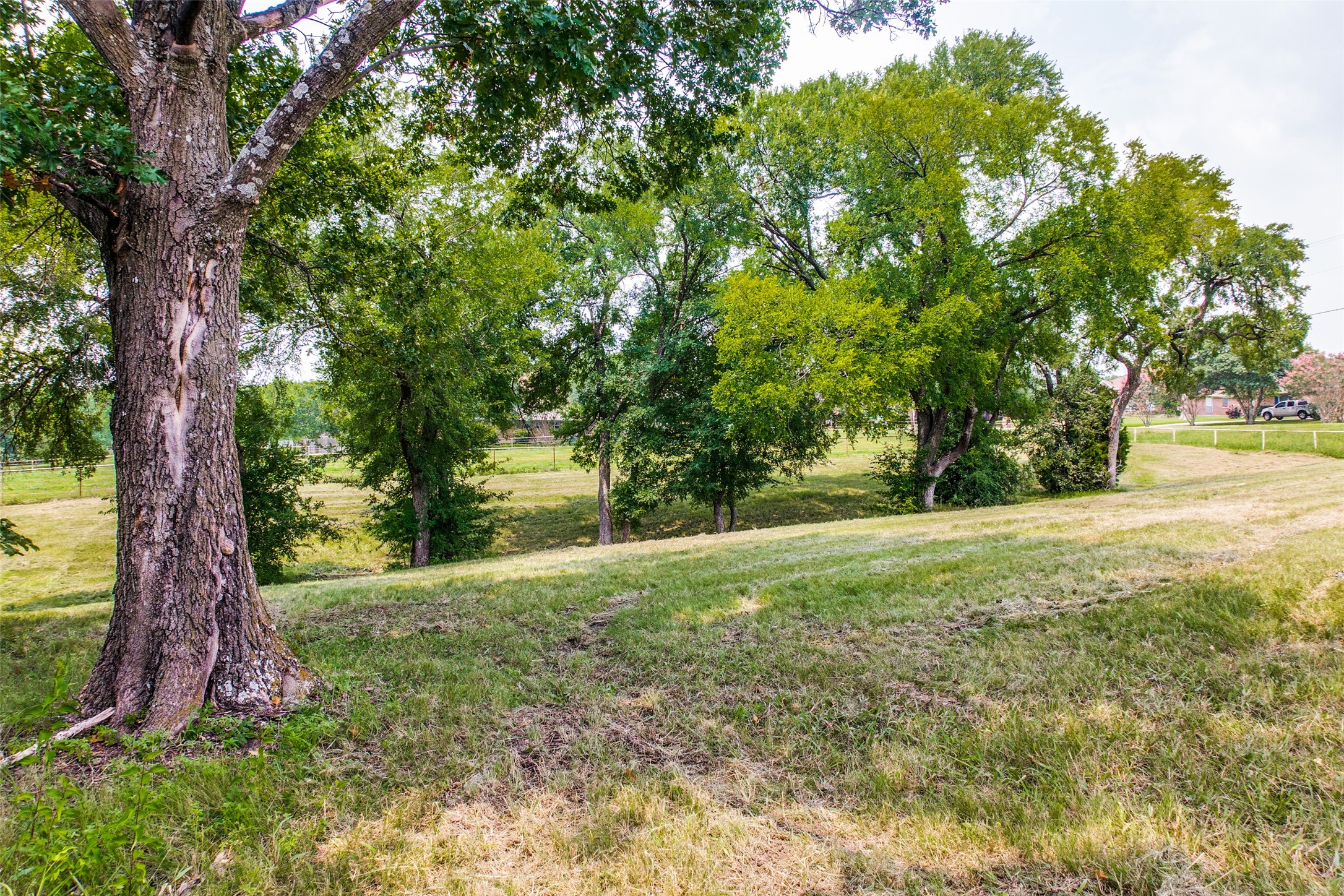 5901 President George Bush Highway 5901 , Rowlett, TX, 75089 | 14645809 | Realty Texas LLC