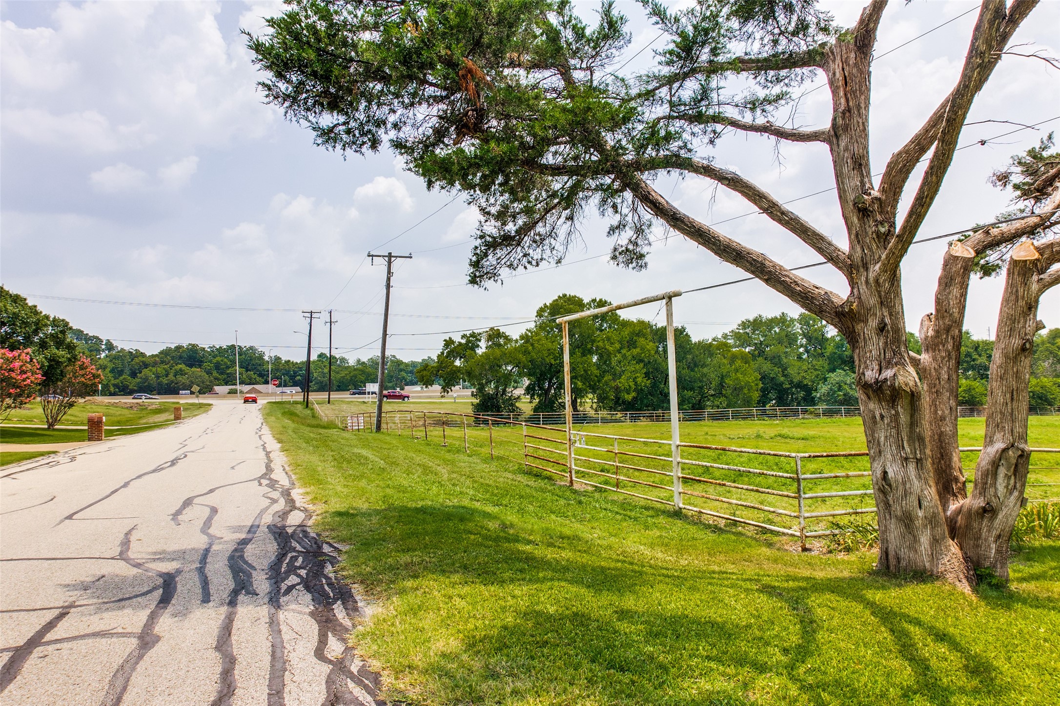 5901 President George Bush Highway 5901 , Rowlett, TX, 75089 | 14645809 | Realty Texas LLC