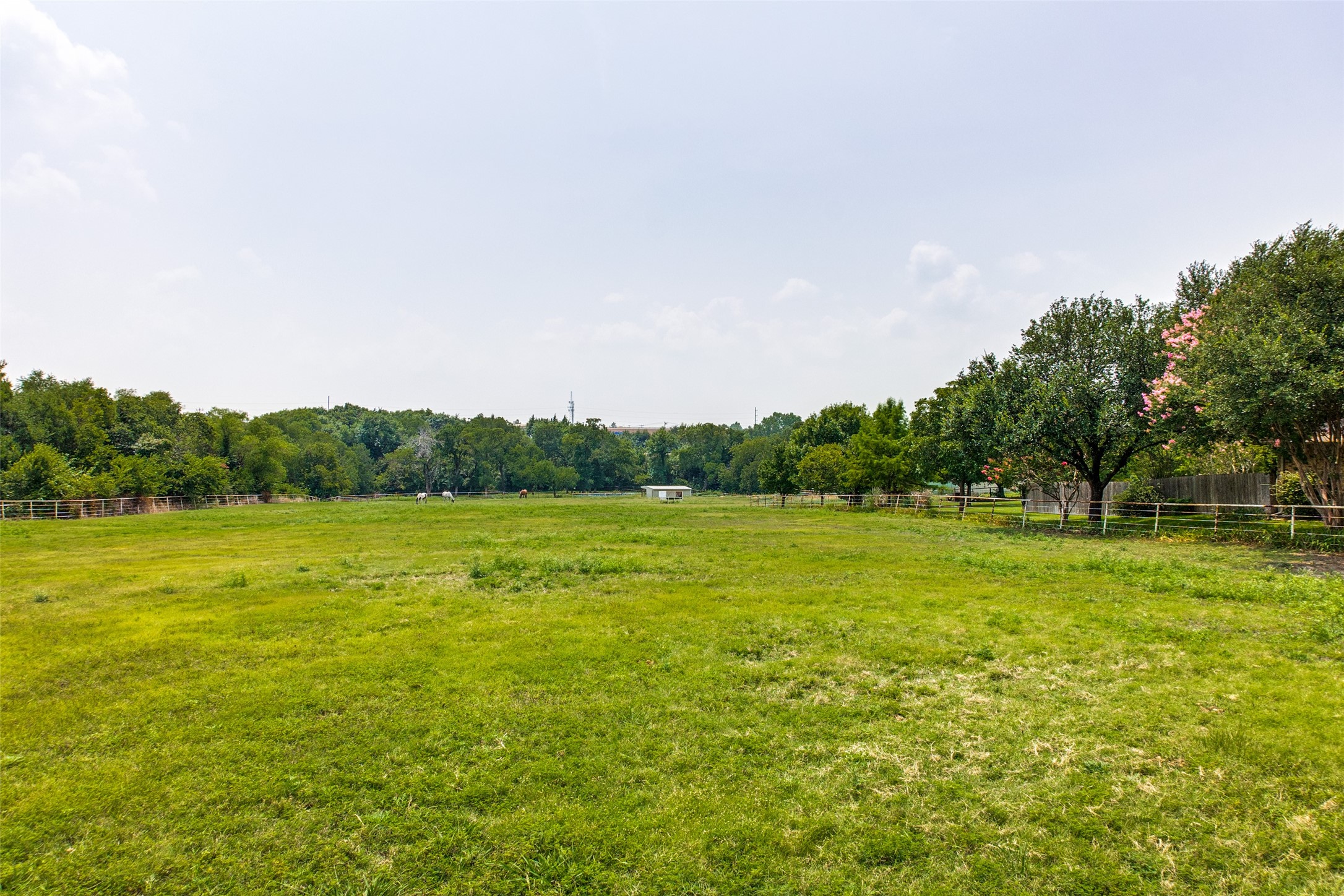 5901 President George Bush Highway 5901 , Rowlett, TX, 75089 | 14645809 | Realty Texas LLC