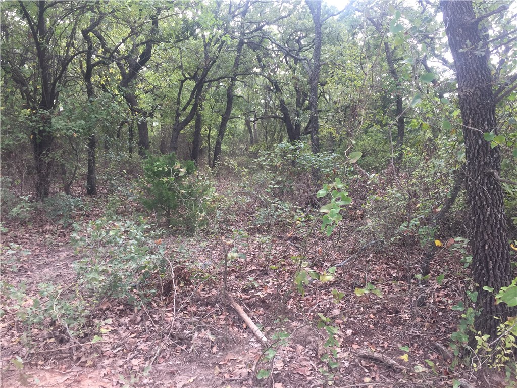 000 Starr Mann , Saint Jo, TX, 76265 | 13826403 | Realty Texas LLC