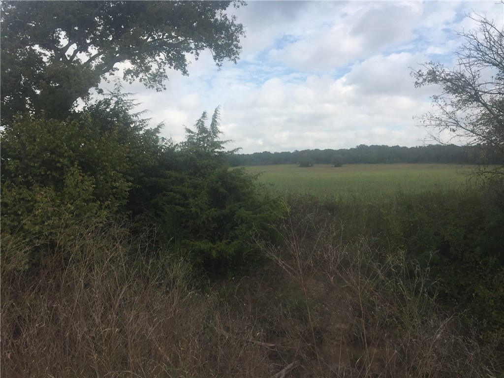 000 Starr Mann , Saint Jo, TX, 76265 | 13826403 | Realty Texas LLC