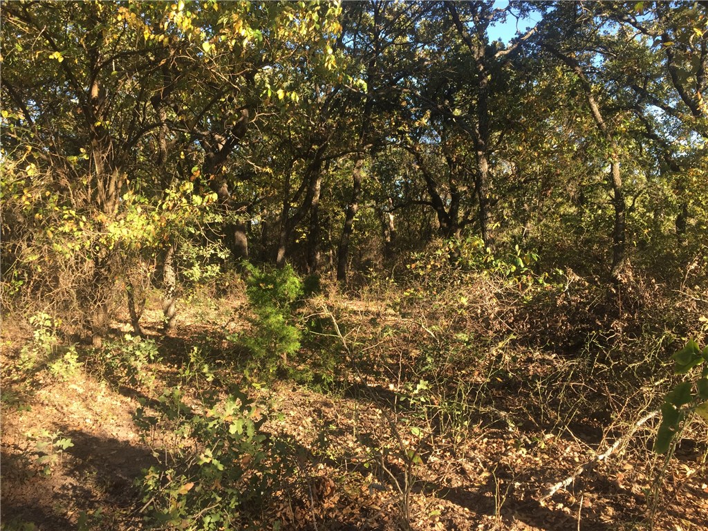 000 Starr Mann , Saint Jo, TX, 76265 | 13826403 | Realty Texas LLC