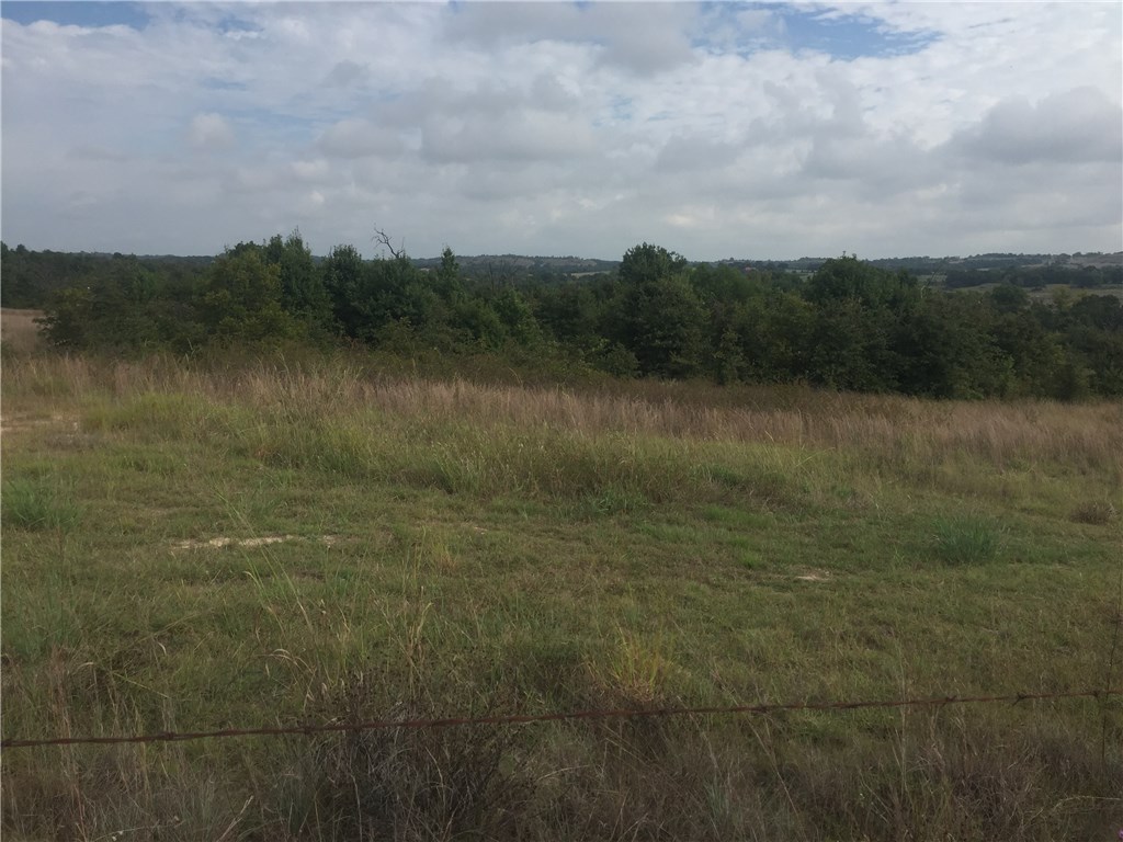 000 Starr Mann , Saint Jo, TX, 76265 | 13826403 | Realty Texas LLC