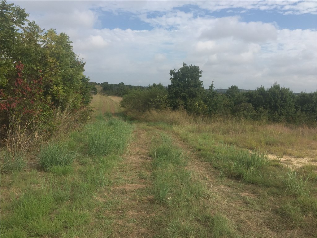 000 Starr Mann , Saint Jo, TX, 76265 | 13826403 | Realty Texas LLC