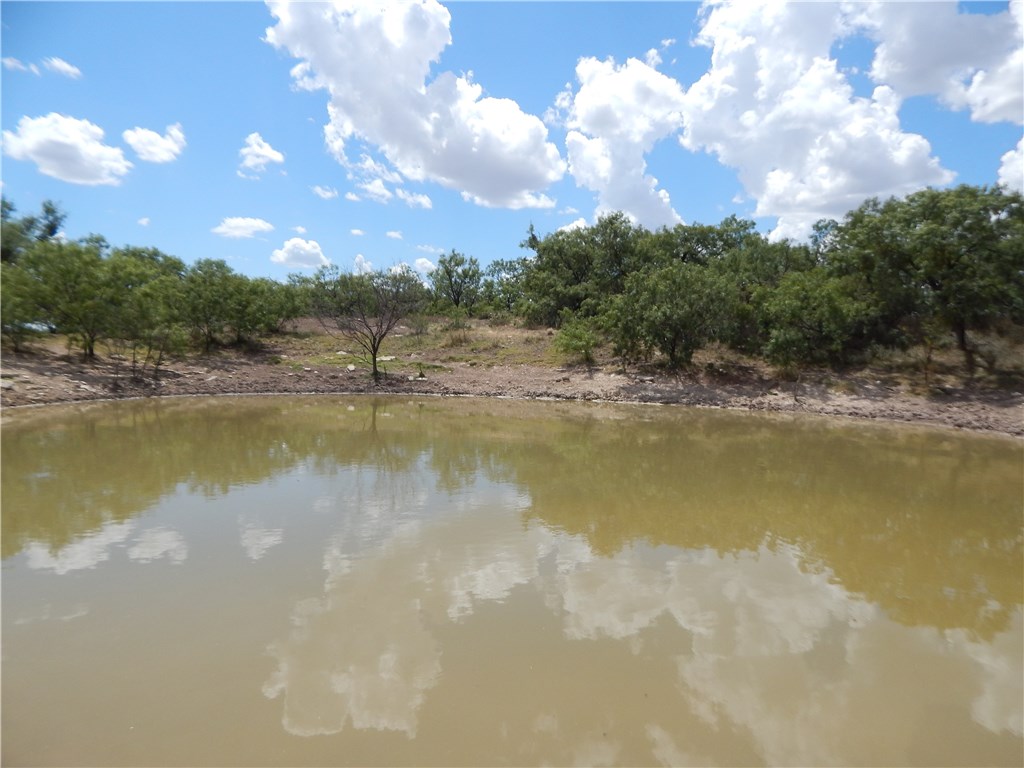 TBD CR 356, Lohn, TX, 76852 | 13655158 | Realty Texas LLC